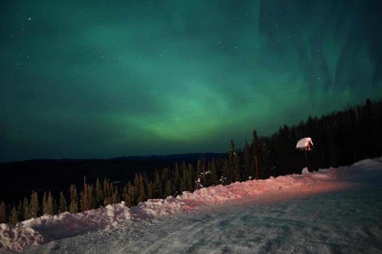 Aurora Villa Fairbanks Bagian luar foto